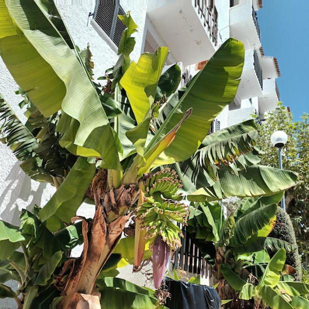 Nora Velha T1 Apartment Тавира Екстериор снимка